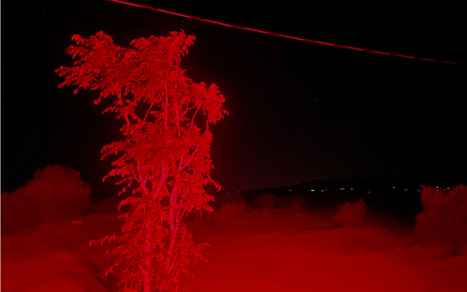 Red tree silhouette against a dark background with a red light source.